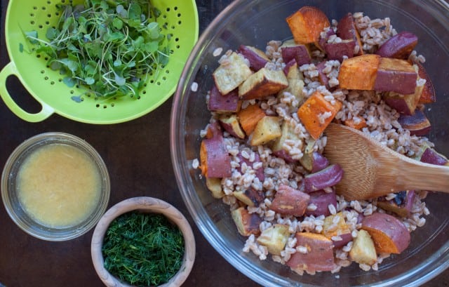 Adding sweet potatoes to farro for the salad.