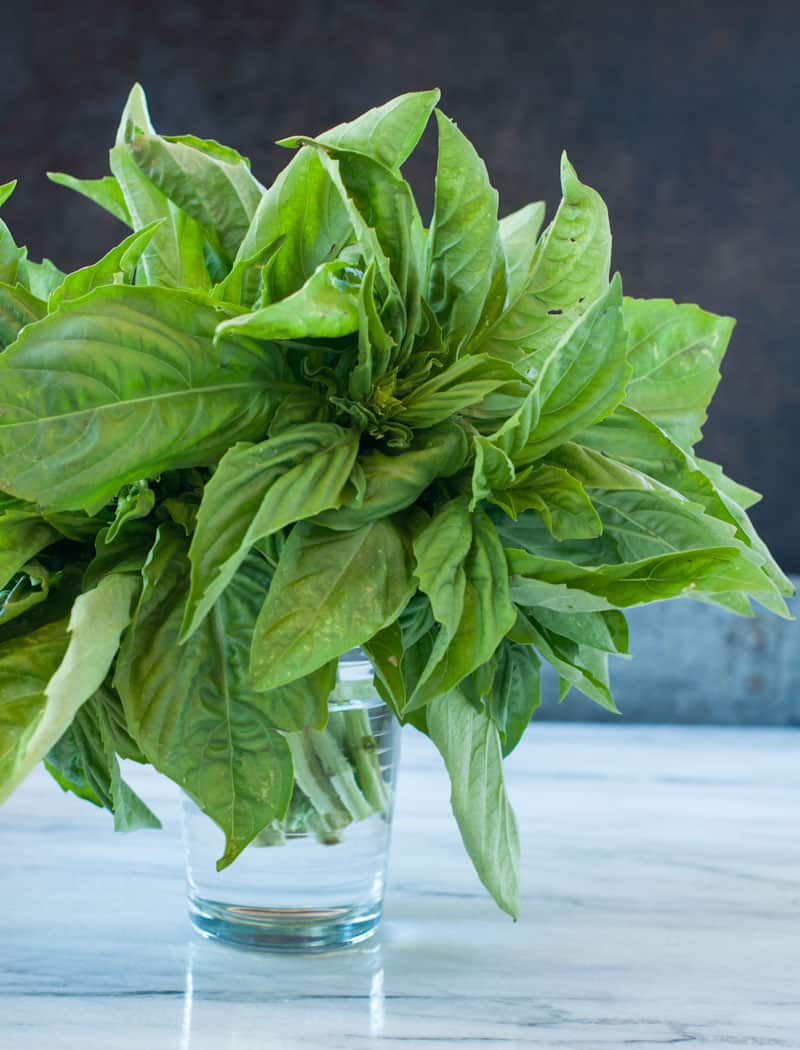 Basil in a glass of water