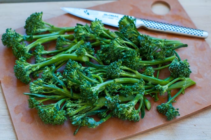 Chopped up broccoli