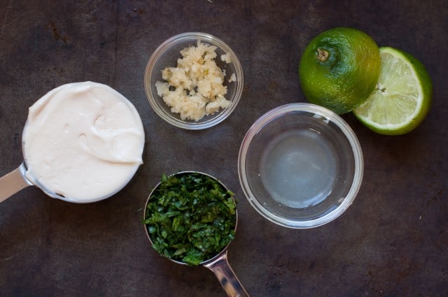 Ingredients for cilantro lime mayonnaise