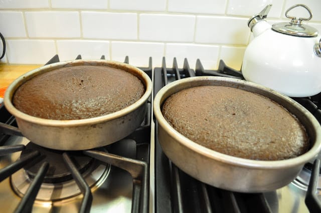 Chocolate cake in cake pans