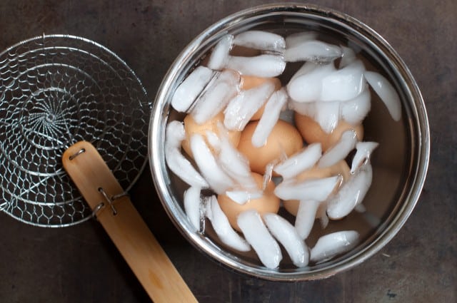 Eggs in a pot with ice