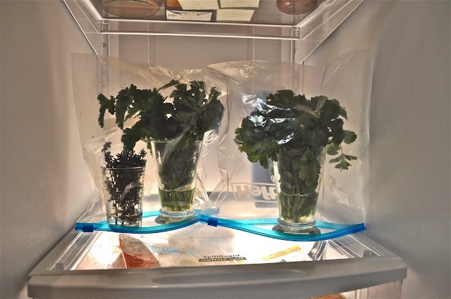 Fresh herbs storage in fridge