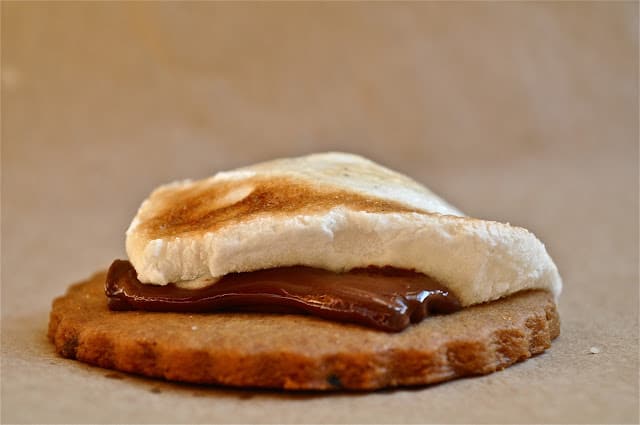 Melty homemade s'more