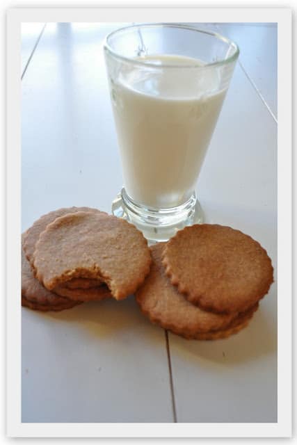 Graham cracker with glass of milk