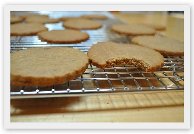 Cooling graham crackers on wire rack