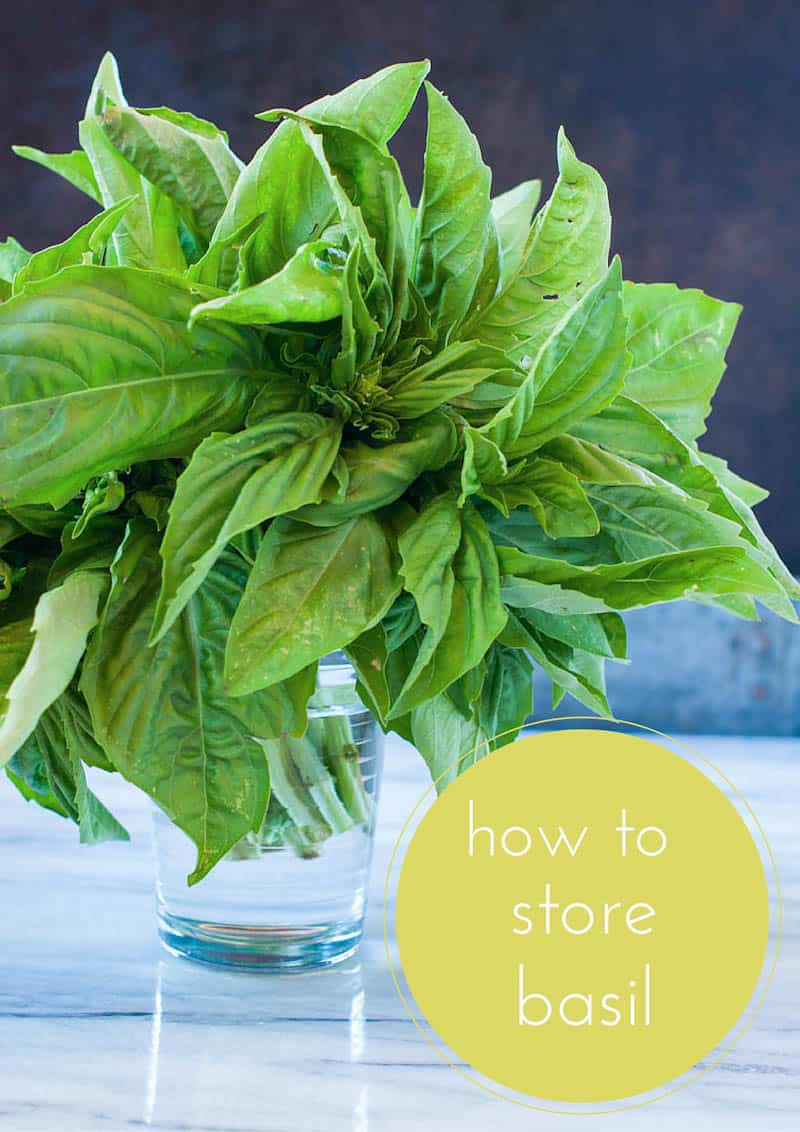 How to store basil