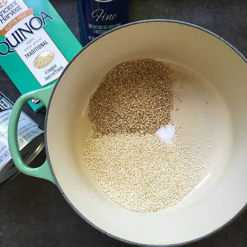 Ingredients for overnight hot quinoa and steel cut oats