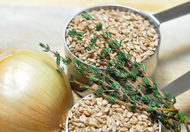 Ingredients for cooking wheat berries