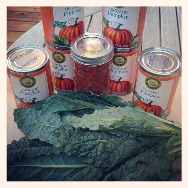 Canned pumpkin and kale
