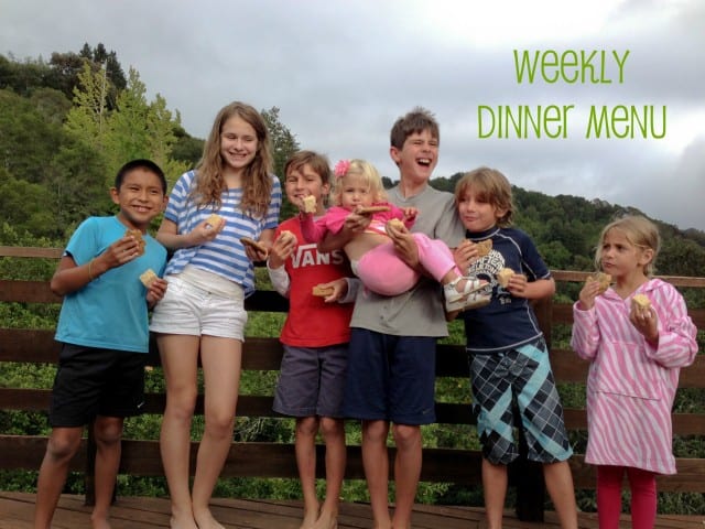 Marin Mama's weekly dinner menu - July 21st
