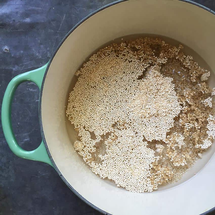 Oats and quinoa mixed with water