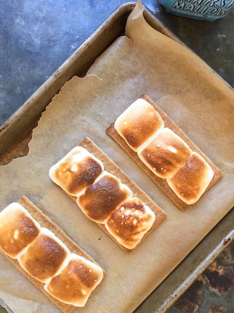 roasted marshmallows on graham crackers