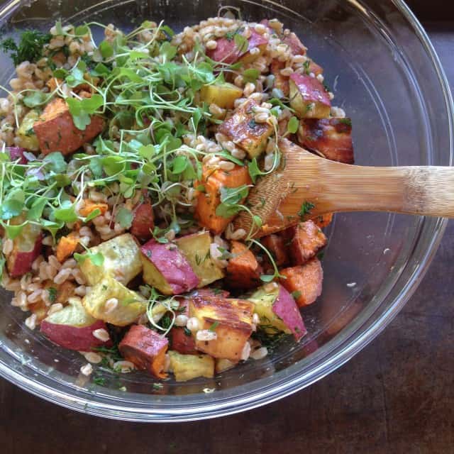 Sweet potatoes and farro salad in a bowl with a wooden spoon.