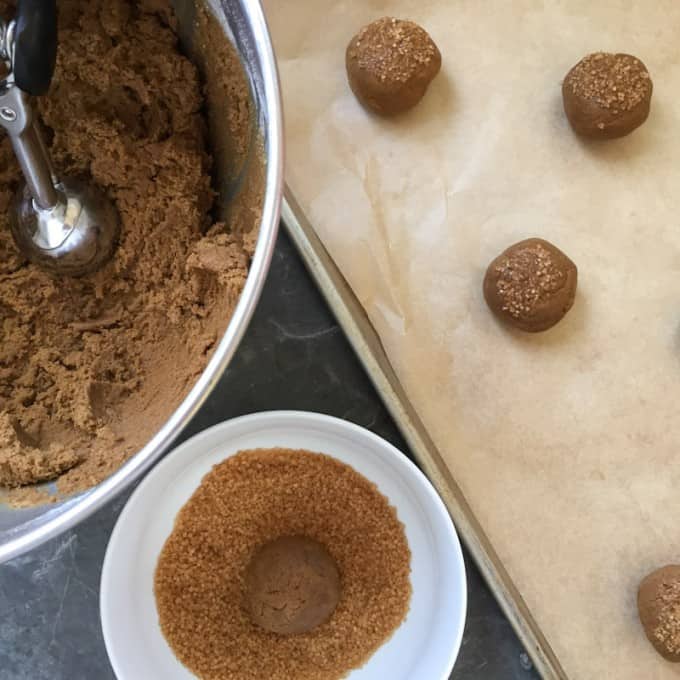 Scooping out gingersnap cookies into balls