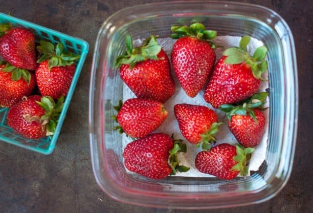 Lay strawberries in container with paper towel
