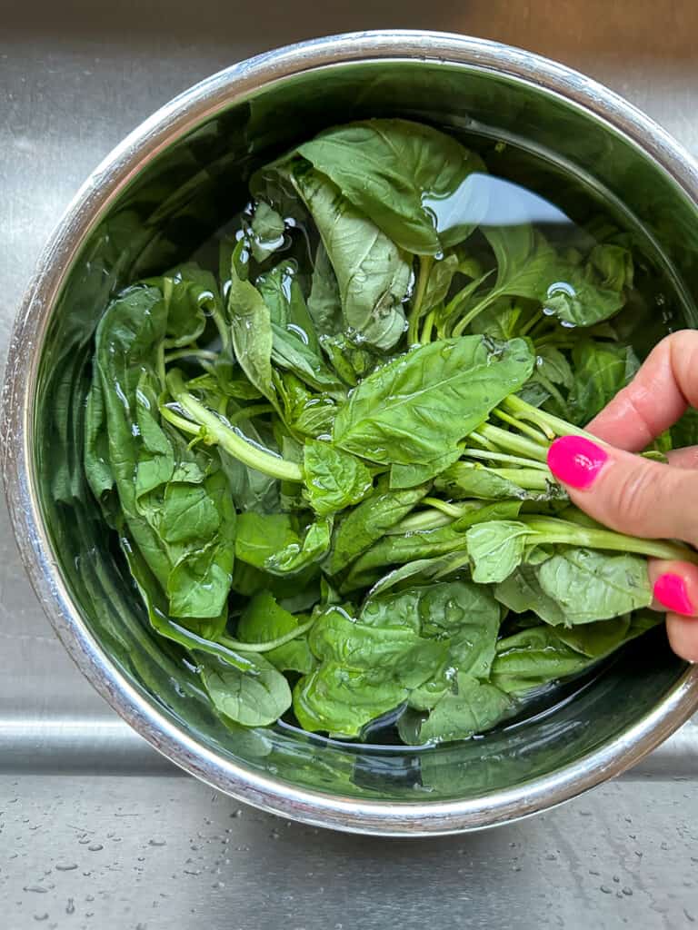 Washing the basil in a bowl of water.